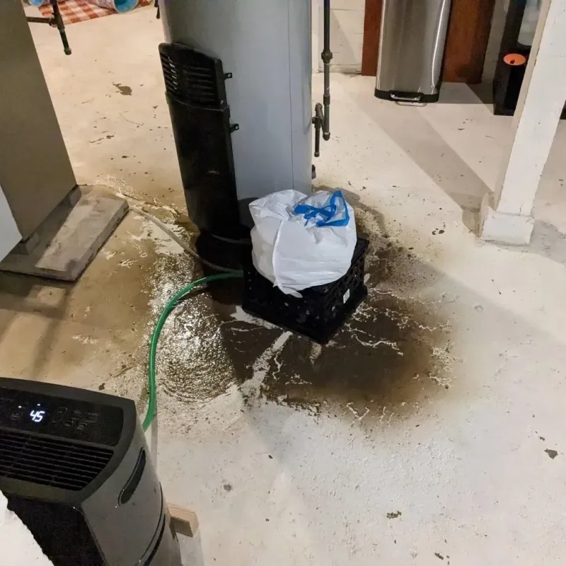 Sewage Backup Cleanup Service in Larimore, ND